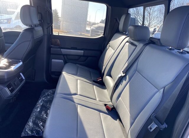 
								New 2024 Ford Super Duty F-350 SRW Platinum 4WD W/ TREMOR OFF-ROAD PKG, TWIN PANEL MOONROOF AND FORD CO-PILOT360 2.0 full									