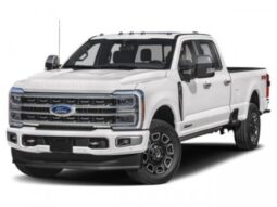 New 2024 Ford Super Duty F-350 SRW Platinum