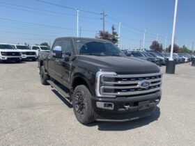 New 2024 Ford Super Duty F-350 SRW Platinum