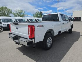 New 2024 Ford Super Duty F-350 SRW XLT