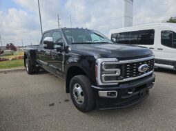 
										New 2024 Ford Super Duty F-350 DRW Platinum full									