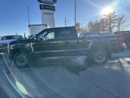 
										New 2024 Ford Super Duty F-350 SRW Platinum full									