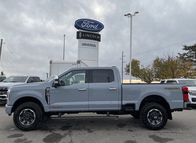 
								New 2024 Ford Super Duty F-350 SRW Platinum full									