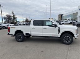 
										New 2024 Ford Super Duty F-350 SRW Platinum CREW 4WD W/TREMOR PKG, AND TWIN PANEL MOONROOF full									