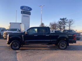 New 2024 Ford Super Duty F-350 SRW Platinum