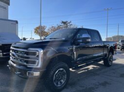 New 2024 Ford Super Duty F-350 SRW Platinum