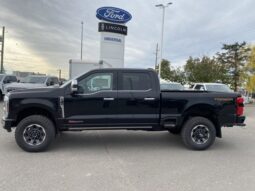 
										New 2024 Ford Super Duty F-350 SRW Platinum full									