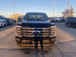 
										New 2024 Ford Super Duty F-350 SRW Platinum full									