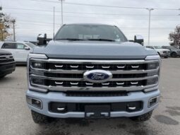 
										New 2024 Ford Super Duty F-350 SRW Platinum full									