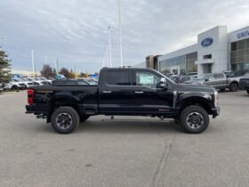 New 2024 Ford Super Duty F-350 SRW Platinum