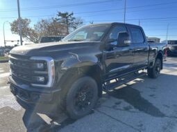 New 2024 Ford Super Duty F-350 SRW LARIAT