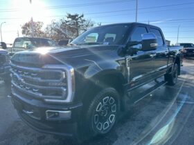 New 2024 Ford Super Duty F-350 SRW Platinum