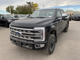 New 2024 Ford Super Duty F-350 SRW Platinum