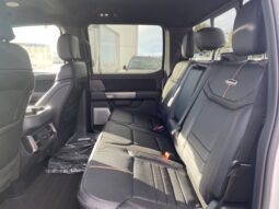 
										New 2024 Ford Super Duty F-350 SRW Platinum full									