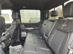 
										New 2024 Ford Super Duty F-350 SRW Platinum full									