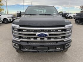 New 2024 Ford Super Duty F-350 SRW Platinum