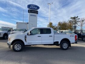 New 2024 Ford Super Duty F-350 SRW XLT