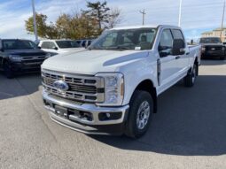 New 2024 Ford Super Duty F-350 SRW XLT