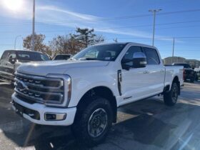 New 2024 Ford Super Duty F-350 SRW Platinum