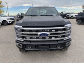 New 2024 Ford Super Duty F-350 SRW Platinum