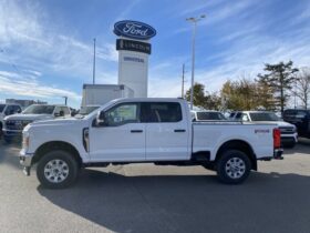 New 2024 Ford Super Duty F-350 SRW XLT