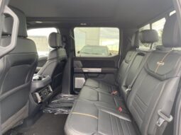 
										New 2024 Ford Super Duty F-350 SRW Platinum CREW 4WD W/TREMOR PKG, AND TWIN PANEL MOONROOF full									