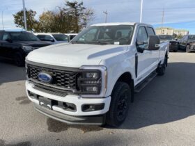 New 2024 Ford Super Duty F-350 SRW XLT