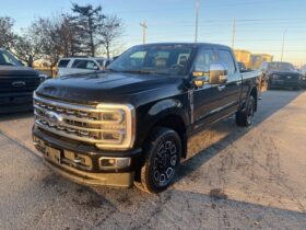 New 2024 Ford Super Duty F-350 SRW Platinum