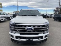 
										New 2024 Ford Super Duty F-350 SRW Platinum full									