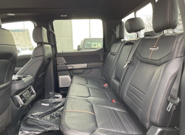 
								New 2024 Ford Super Duty F-350 SRW Platinum 4WD CREW W/TREMOR PKG, & TWIN PANEL MOONROOF full									