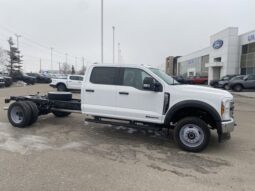 
										New 2024 Ford Super Duty F-550 DRW XLT CREW CHASSIS 4WD W/RUNNING BOARDS, SKID PLATES, HIGH CAPACITY TOW PKG & 19,500 LBS PAYLOAD PKG full									