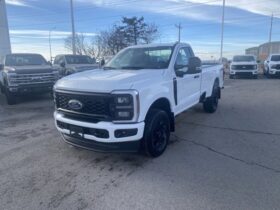 New 2025 Ford Super Duty F-250 SRW XL REG CAB 4WD W/STX APPEARANCE PKG, TRAILER BRAKE CONTROLLER, AND TAILGATE STEP W/HANDLE