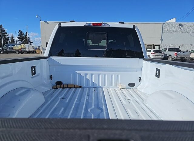 
								New 2025 Ford Super Duty F-250 SRW XLT CREW CAB 4WD W/RUNNING BOARDS, PWR SLIDING RR WINDOW, PWRSCOPE MIRRORS, AND TAILGATE STEP full									