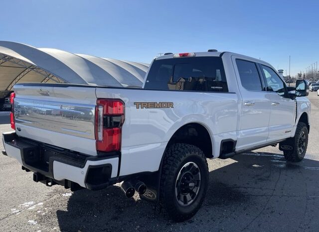
								Used 2024 Ford Super Duty F-350 SRW full									