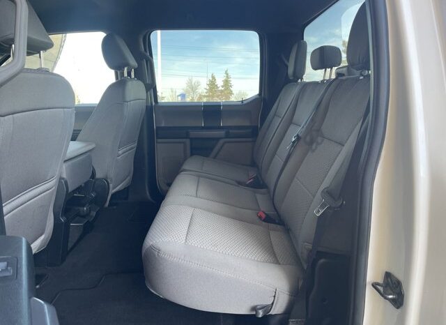 
								Used 2021 Ford Super Duty F-250 SRW full									