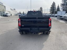 
										New 2025 Ford Super Duty F-450 DRW Platinum CREW 4WD W/FX4 PKG, MOONROOF, AND UPFITTER SWITCHES full									