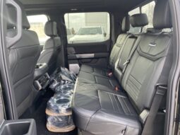 
										New 2025 Ford Super Duty F-450 DRW Platinum CREW 4WD W/FX4 PKG, MOONROOF, AND UPFITTER SWITCHES full									