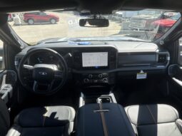 
										New 2024 Ford Super Duty F-350 SRW Platinum 4WD CREW W/TREMOR PKG, & TWIN PANEL MOONROOF full									