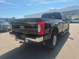 Used 2019 Ford Super Duty F-250 SRW