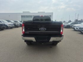 Used 2019 Ford Super Duty F-350 SRW