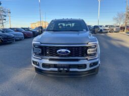 
										New 2025 Ford Super Duty F-450 DRW full									