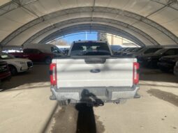 
										Used 2023 Ford Super Duty F-350 SRW XLT full									