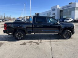 New 2026 Ford Super Duty F-350 SRW Platinum 4WD – INCOMING UNIT, CALL TO RESERVE TODAY!!