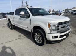 
										Used 2019 Ford Super Duty F-350 SRW full									