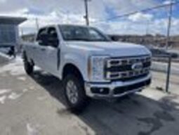 
										Used 2023 Ford Super Duty F-350 SRW XLT 4WD full									