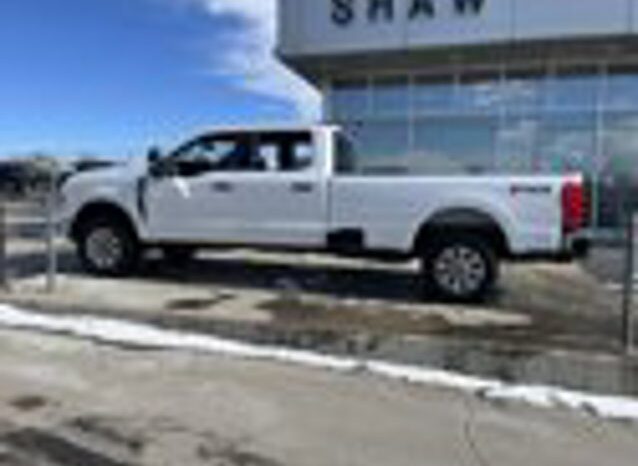 
								Used 2023 Ford Super Duty F-350 SRW XLT 4WD full									