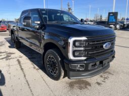 
										New 2026 Ford Super Duty F-350 SRW Platinum 4WD full									