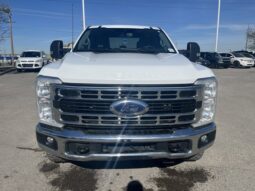 
										Used 2023 Ford Super Duty F-350 SRW full									